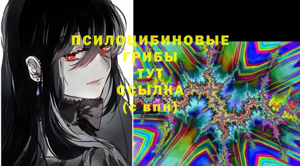 гашик Пестово