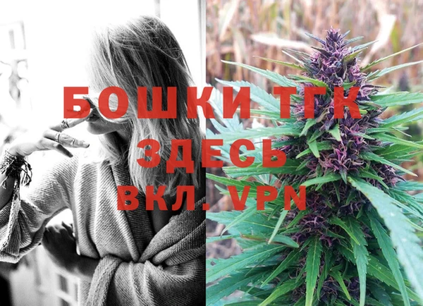 ГАЛЛЮЦИНОГЕННЫЕ ГРИБЫ Осинники