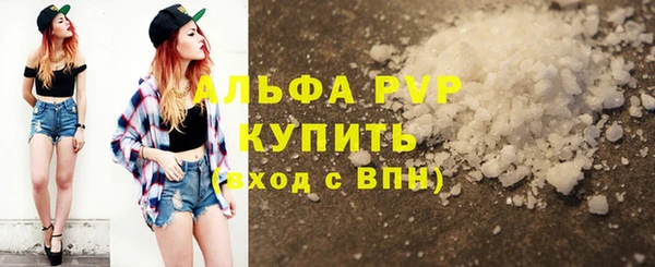ГАЛЛЮЦИНОГЕННЫЕ ГРИБЫ Осинники