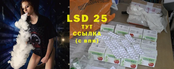 прущие грибы Нягань