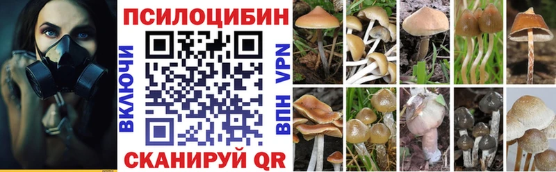 Псилоцибиновые грибы GOLDEN TEACHER  Ржев 