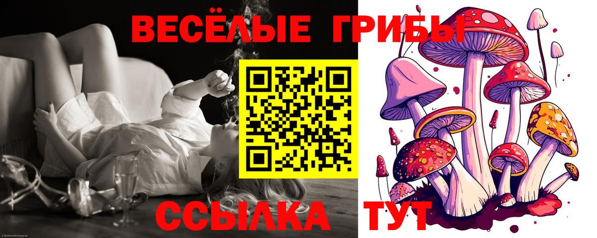 Галлюциногенные грибы мухоморы Ржев