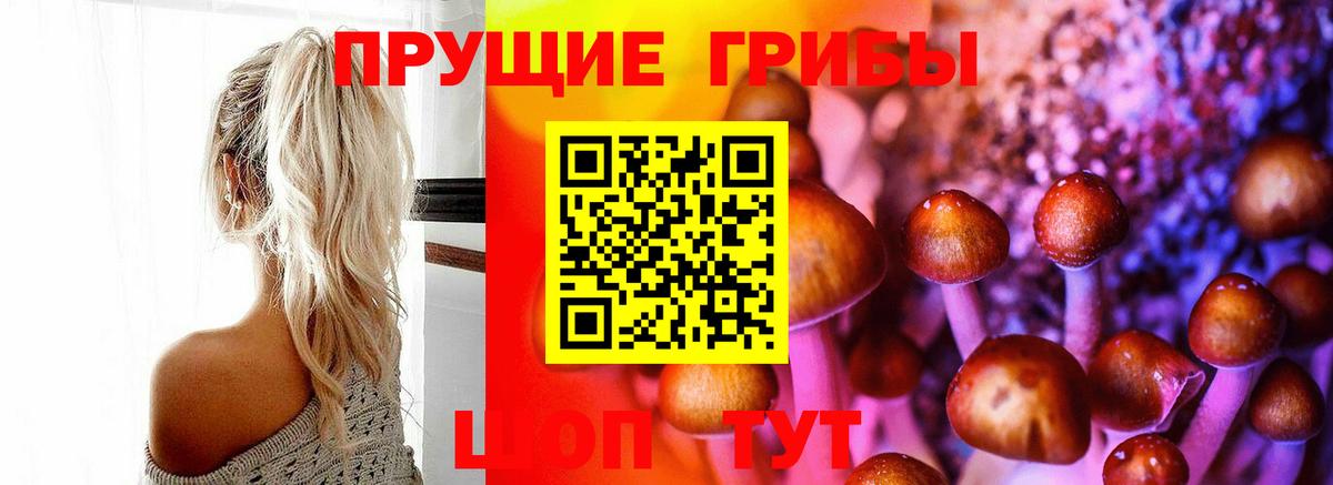 Ржев  Псилоцибиновые грибы MAGIC MUSHROOMS  Вход с VPN 